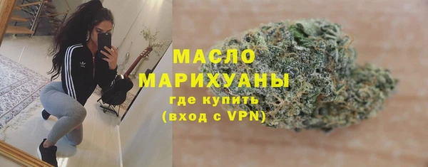 СК Алексин