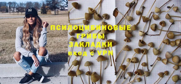 винт Алексеевка