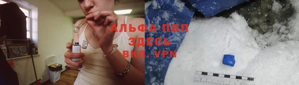 СК Алексин