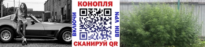 Канабис ГИДРОПОН  omg вход  Апатиты 